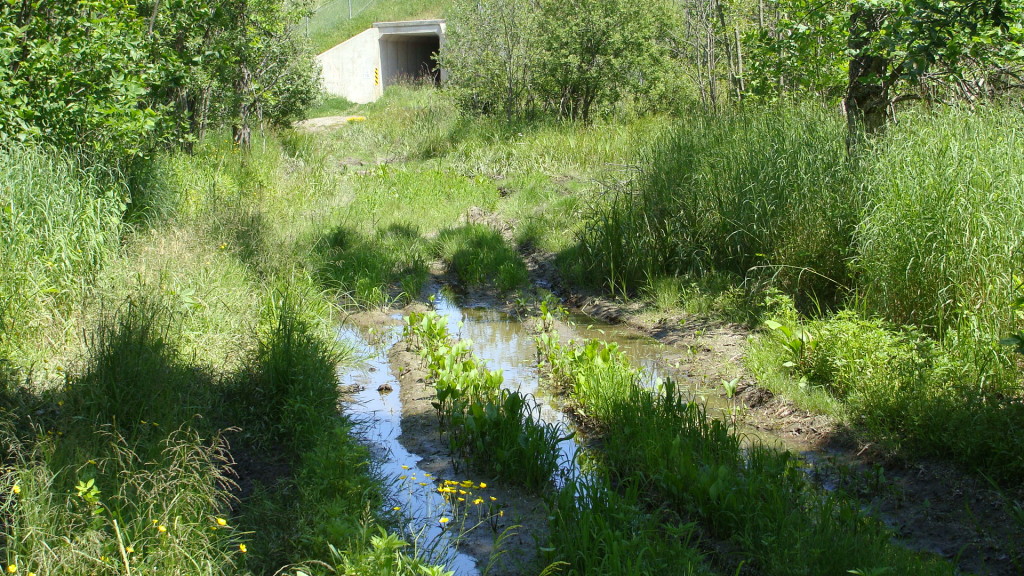 ATV Ashmun Creek hiking trail