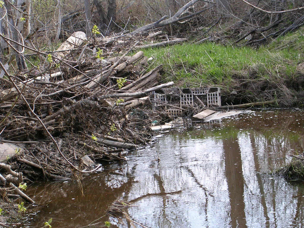 Ashmun Creek, St. Marys River