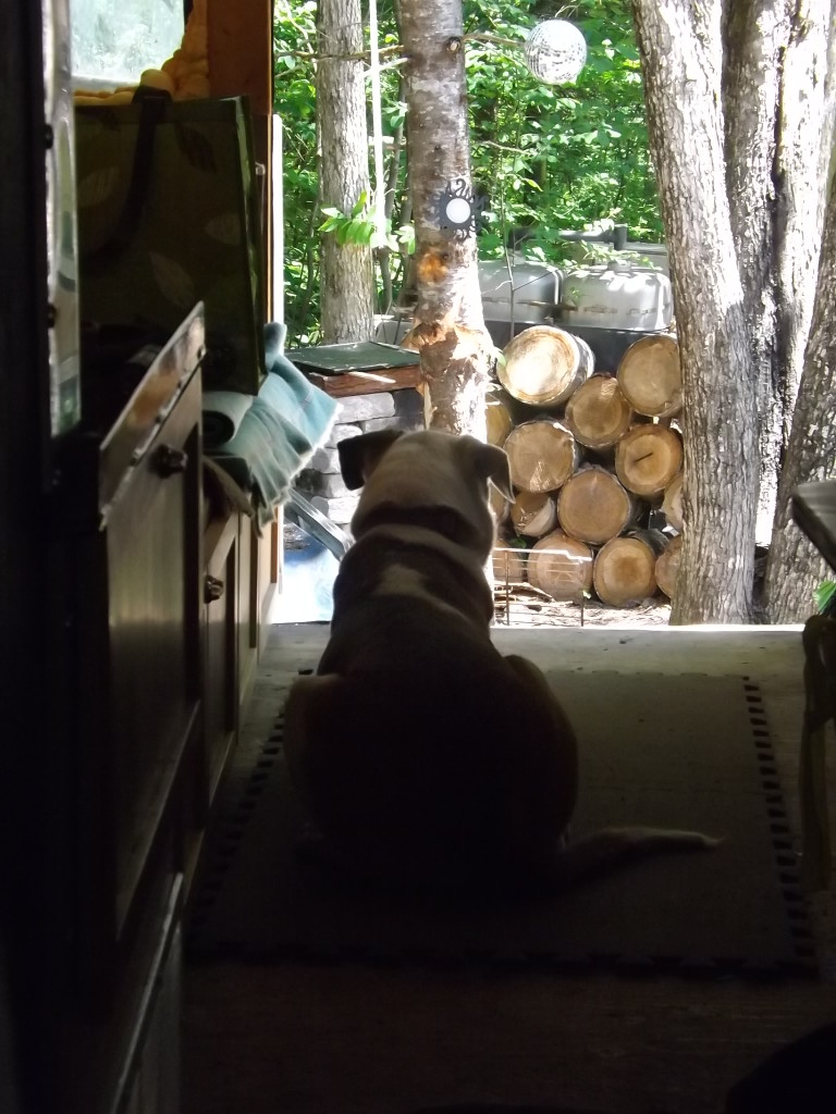 "We were so excited when we added the back deck." Erin flings open the back door on to the new space. "See," she says laughing. "It feels so much bigger doesn't it!"