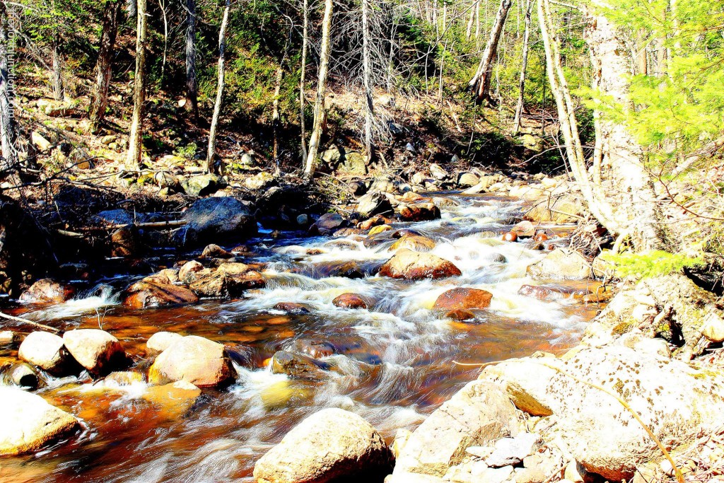 Voyageur Trail  -slow shutterspeed. Photo credit: Meaghan Kent, The North Junction