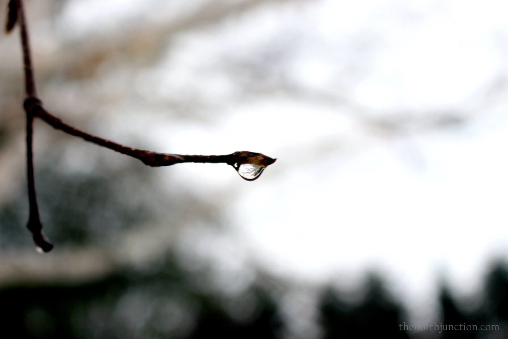 Water droplet -faster shutterspeed. Photo credit: Meaghan Kent, The North Junction