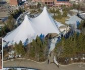 Let’s Give the Northern Hoot New Wings