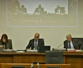 Build it in the Park: TBay City Council