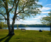 Our World Is Shrinking -And TBay City Hall Wants Our Parks Too