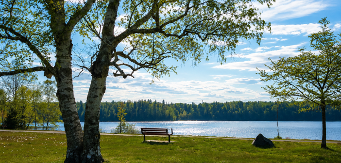 Our World Is Shrinking -And TBay City Hall Wants Our Parks Too